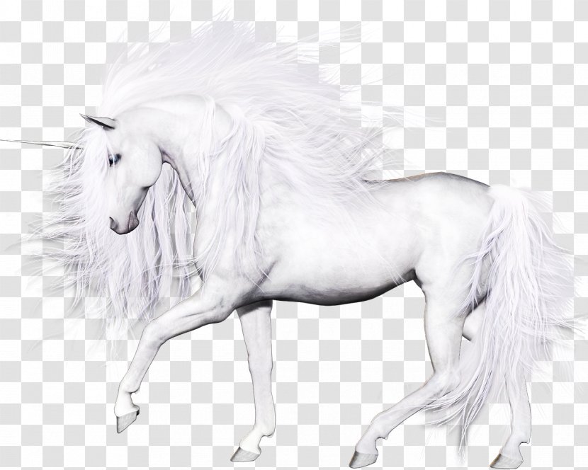 Horse Unicorn Clip Art - Mane Transparent PNG