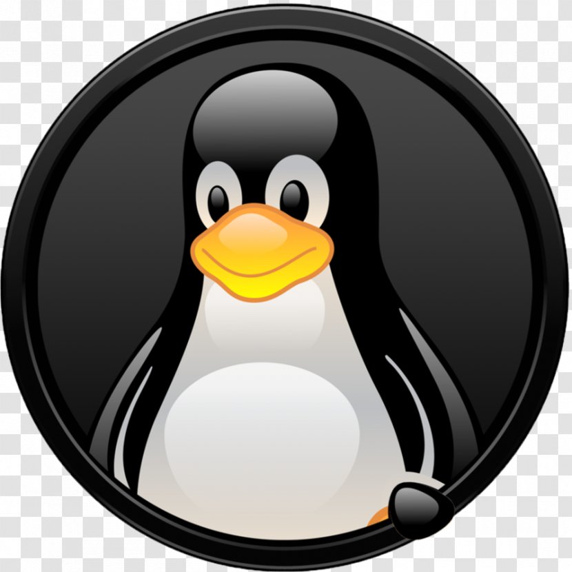 Tuxedo Linux Distribution Operating Systems - Flightless Bird - Article Directory Shading Review Transparent PNG