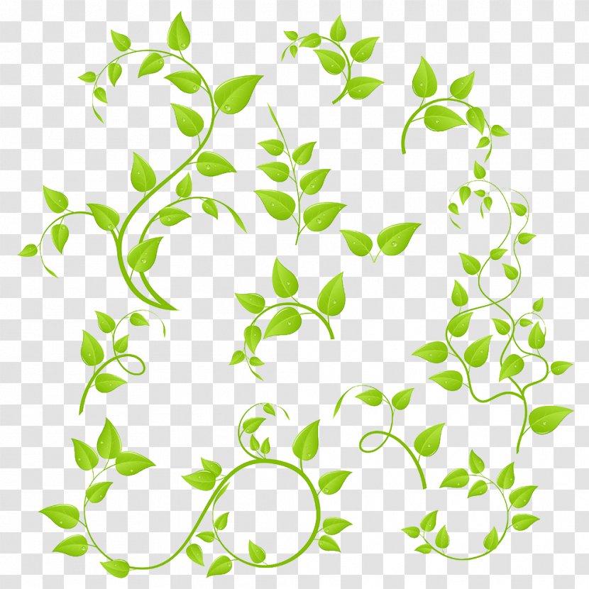 Branch Clip Art - Plant - Leaf Transparent PNG