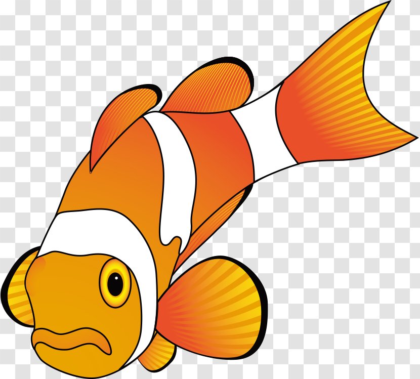 Fish Cartoon Animation Clip Art - Tail - Vector Transparent PNG