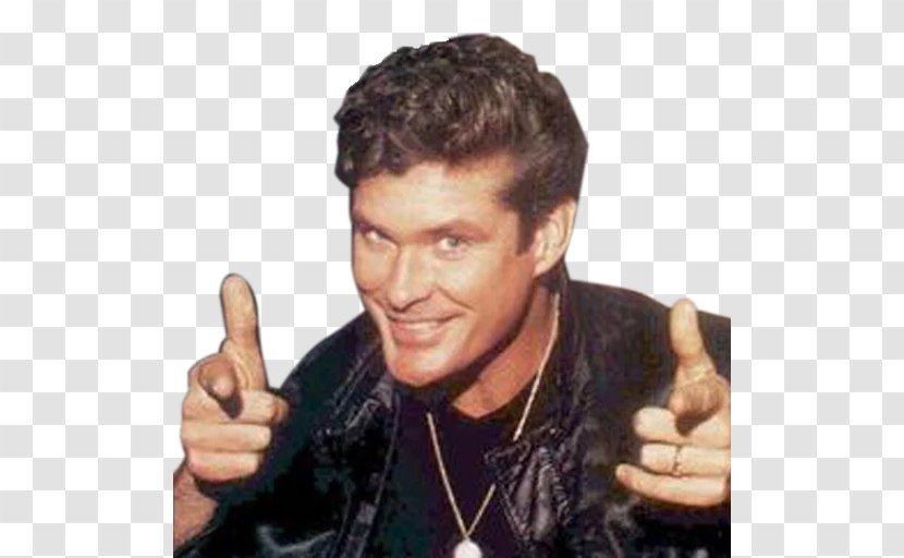 David Hasselhoff Hoff The Record Greeting & Note Cards Birthday Musician - Tree Transparent PNG