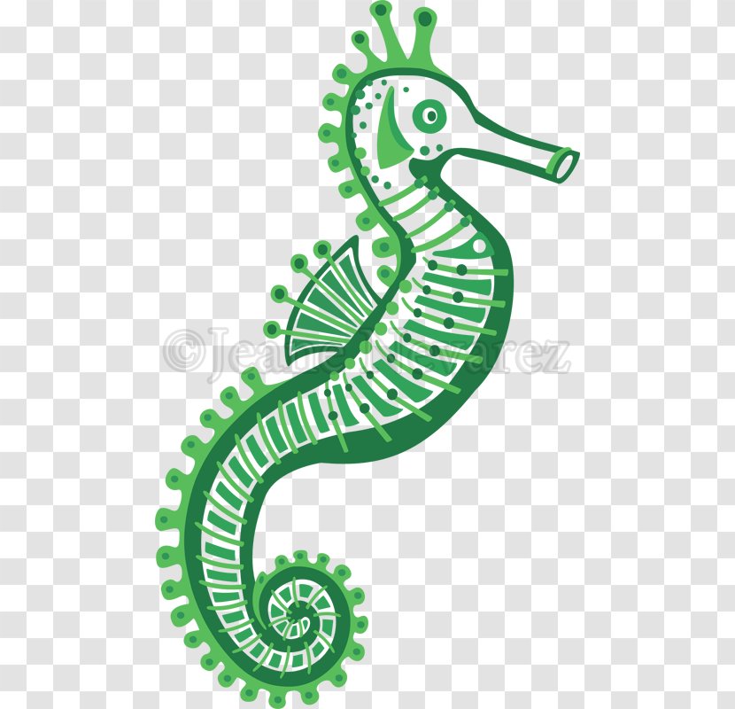 Seahorse Clip Art Illustration Vector Graphics Royalty-free - Photography - Coati Transparent PNG
