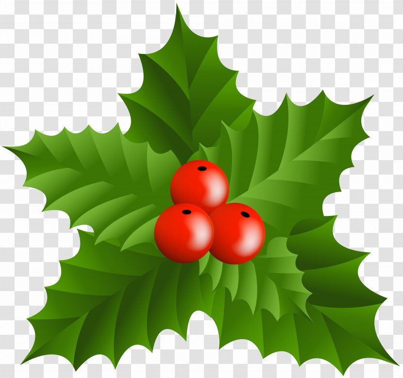 Christmas Holly Clip Art - Fruit - Mistletoe Transparent PNG