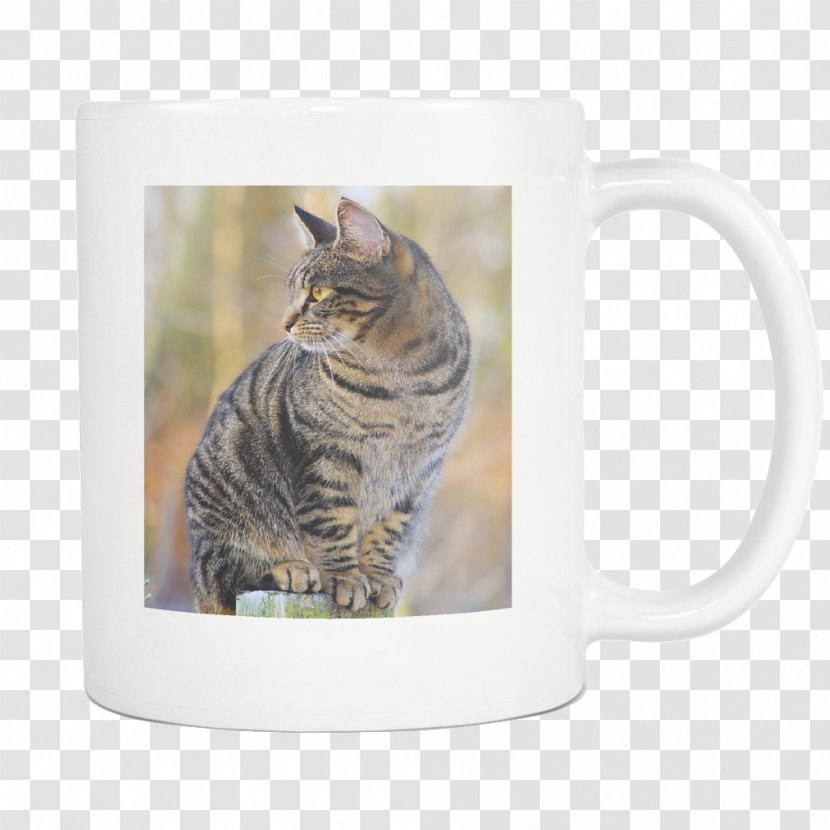 Dog Persian Cat Pet Kitten Photograph - Mug Transparent PNG