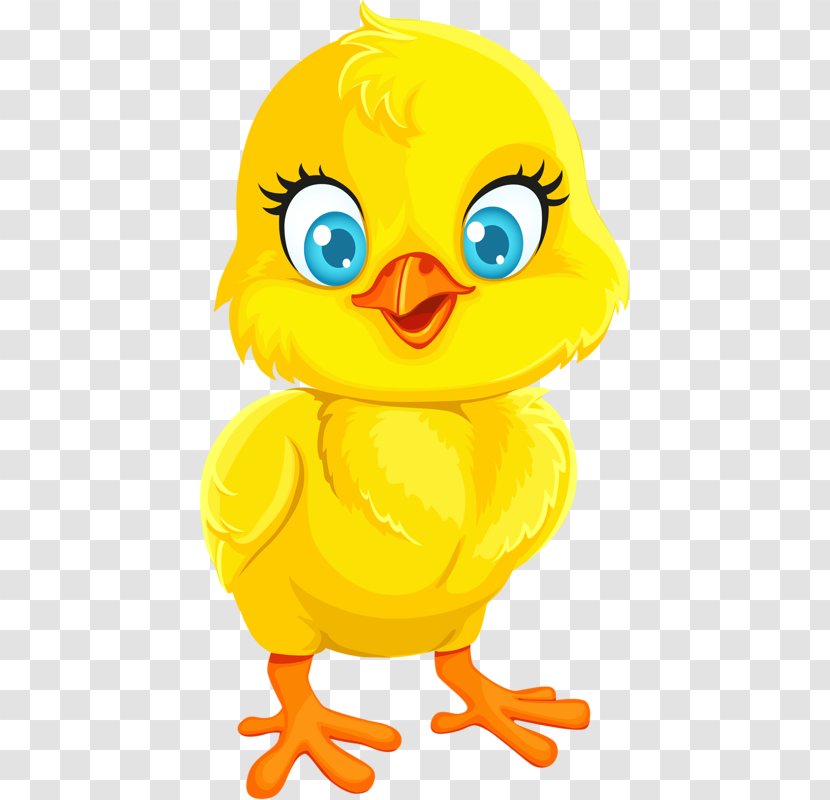 Chicken Vector Graphics Illustration Infant Stock Photography - Smiley - Bolotas Pretas Transparent PNG