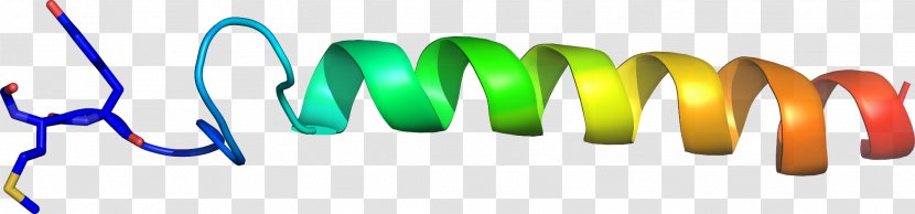 Logo Font - Green - Design Transparent PNG