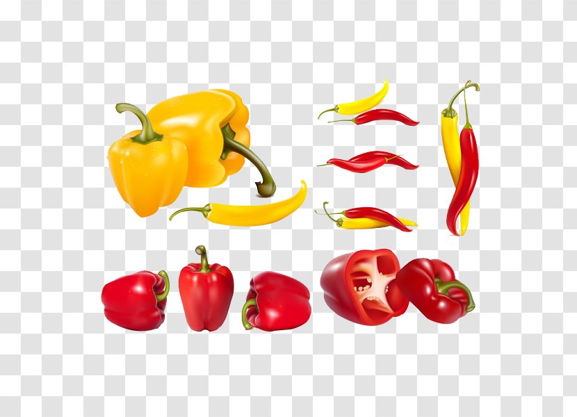 Bell Pepper Vegetable Chili Clip Art - Profile Red Transparent PNG