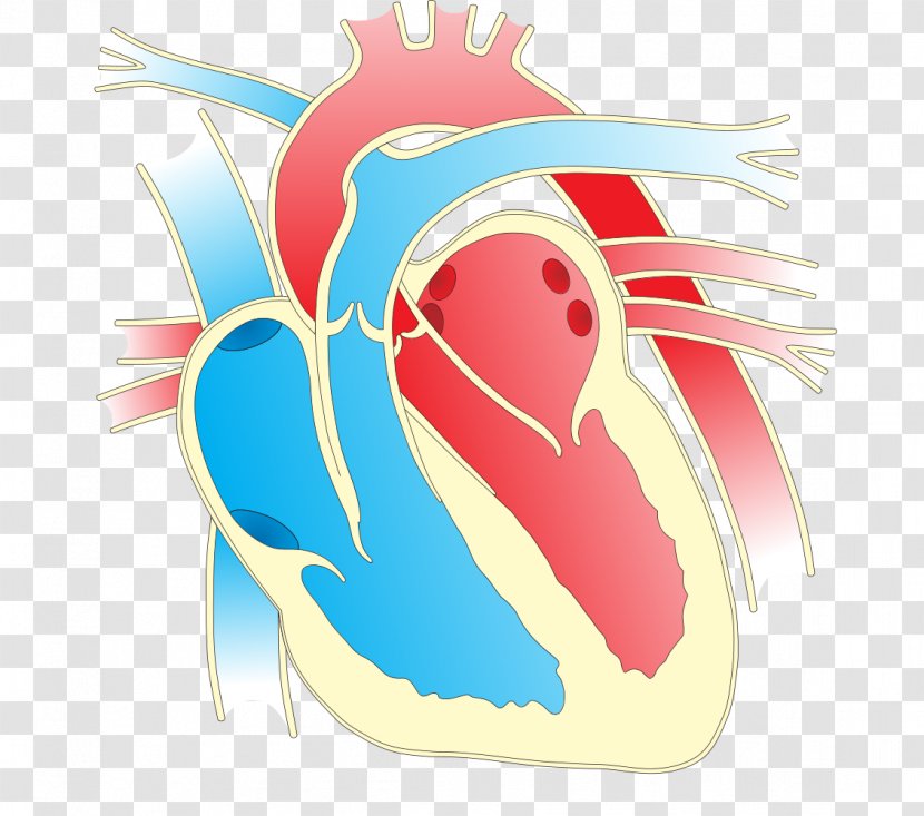 Heart Illustration Clip Art Diagram Openclipart - Watercolor Transparent PNG