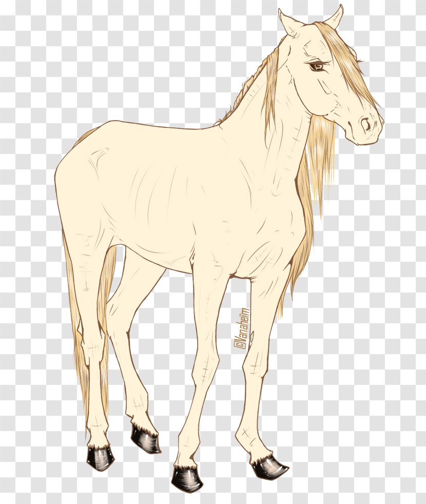 Mule Foal Stallion Mustang Mare - Bridle - Crayon Wind Transparent PNG