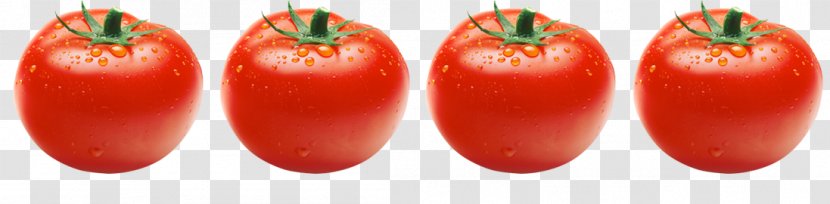 Plum Tomato Food Bush Malagueta Pepper - Nightshade Family - Paste Transparent PNG