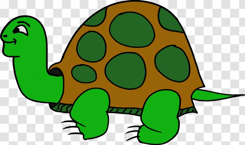Tortoise Clip Art Turtle Image - Reptile Transparent PNG