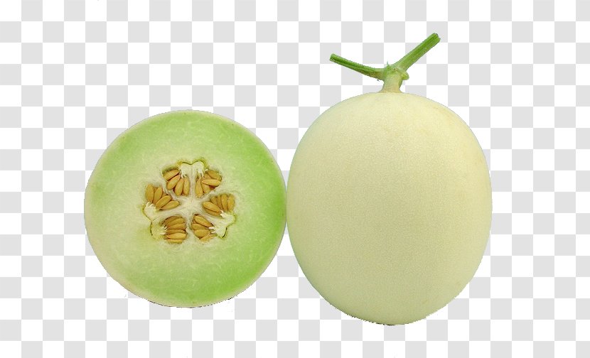 Honeydew Galia Melon Cantaloupe Hami - Food - Cut Transparent PNG