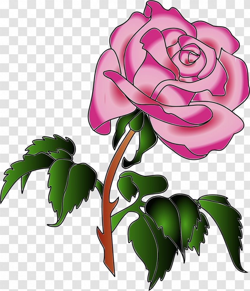 Garden Roses Cabbage Rose Clip Art - Order - Attractive Transparent PNG