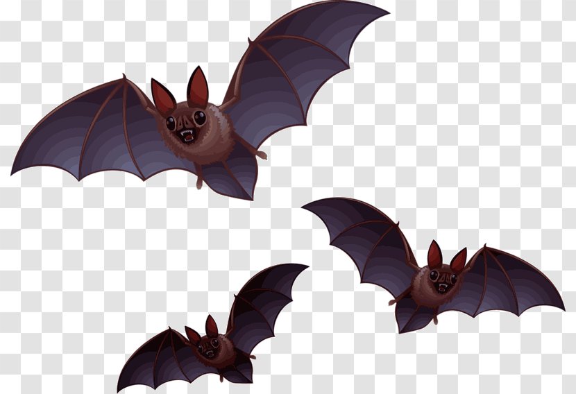 Bat Halloween Clip Art Transparent PNG