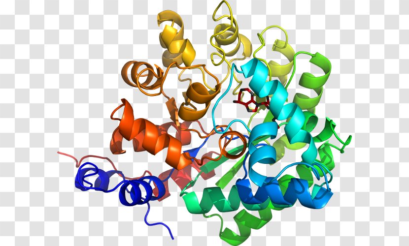 Bile Salt-dependent Lipase Candida Antarctica Enzyme Gastric - Adenosine Deaminase Zalpha Domain Transparent PNG