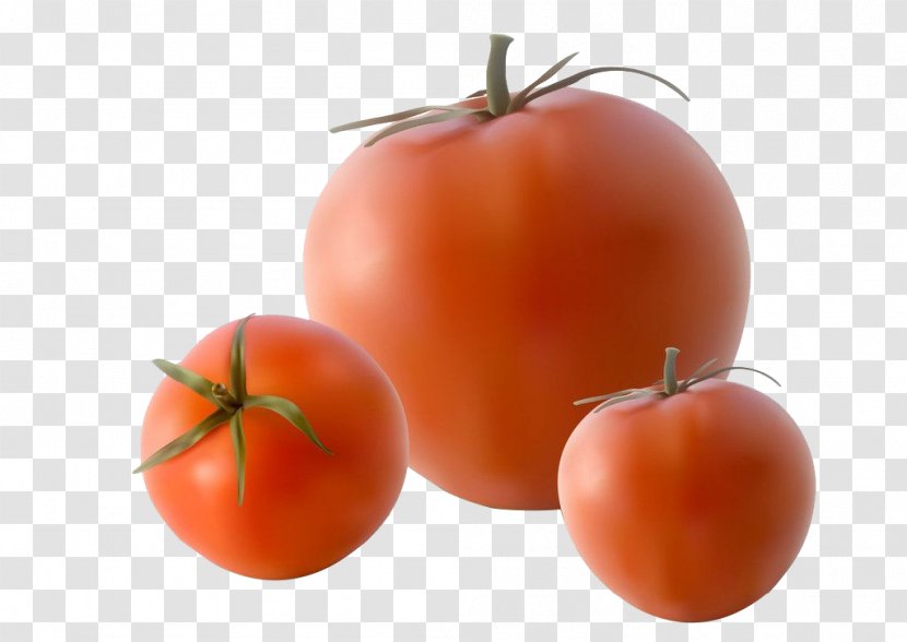 Tomato Royalty-free Illustration - Food - Decoration Of Tomatoes Transparent PNG