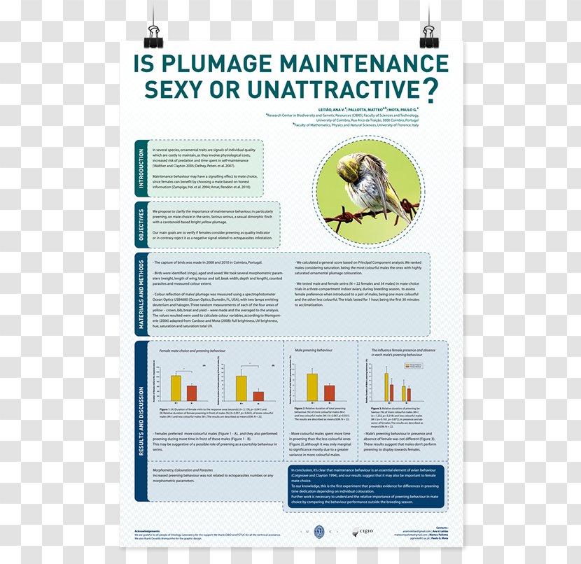 Poster Session Text Display Board - Mass Media - Design Transparent PNG