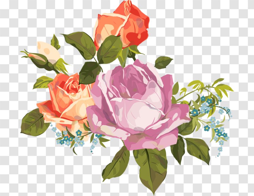 Garden Roses Flower Watercolor Painting Cabbage Rose - Transparent Bouquet Transparent PNG