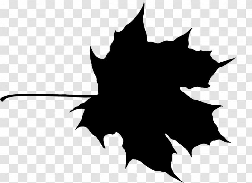Maple Leaf Canada - Woody Plant - Logo Transparent PNG