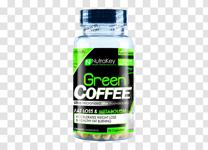 Ginkgo Biloba Dietary Supplement Health NutraKey Nutrition - Branchedchain Amino Acid - Green Coffee Bean Transparent PNG