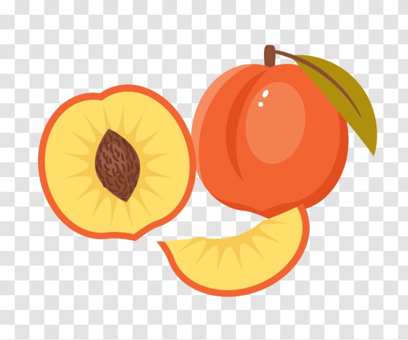 Drawing Peach Illustrator - Superfood - Fruit Transparent PNG