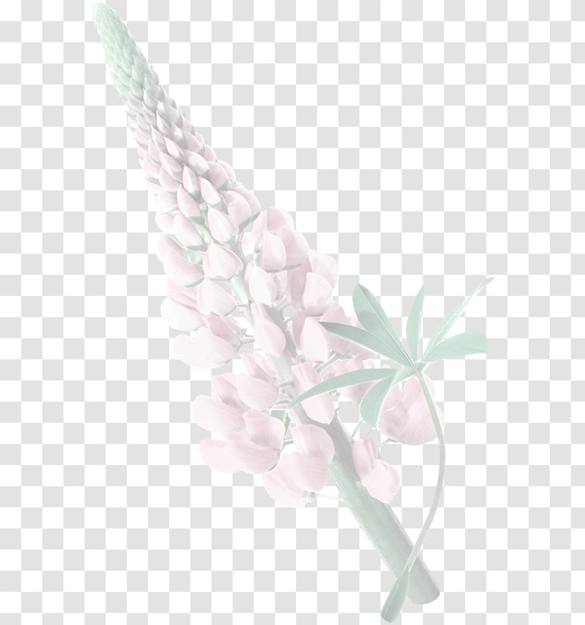 Arroz Con Pollo Rice Icon - Creative Image Flower Transparent PNG