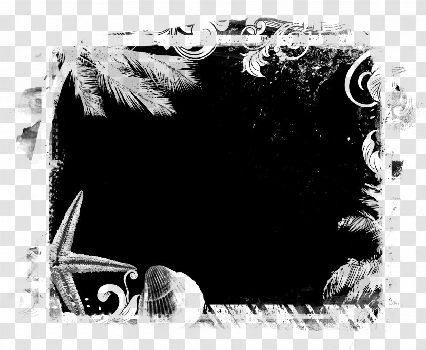 Font Black-and-white Circle - Blackandwhite Transparent PNG