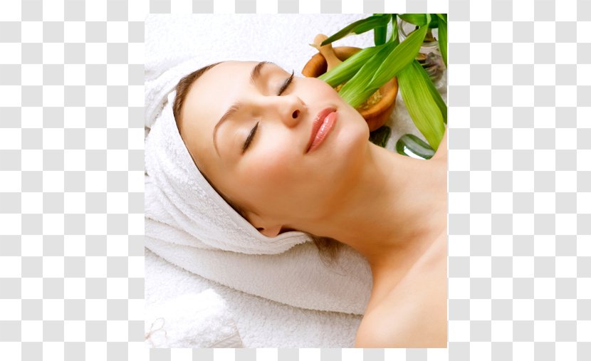 Facial Care Beauty Parlour Day Spa Massage - Lip - Face Transparent PNG
