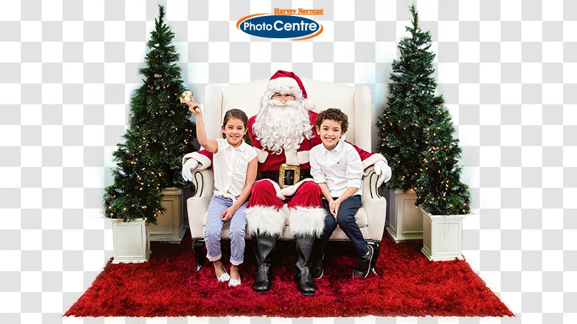 Harvey Norman Flagship Store Auburn Christmas Tree Electric Light Lighting - Event Transparent PNG