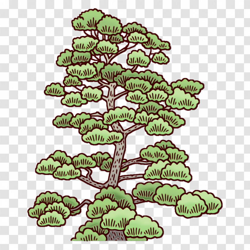 Family Tree Transparent PNG