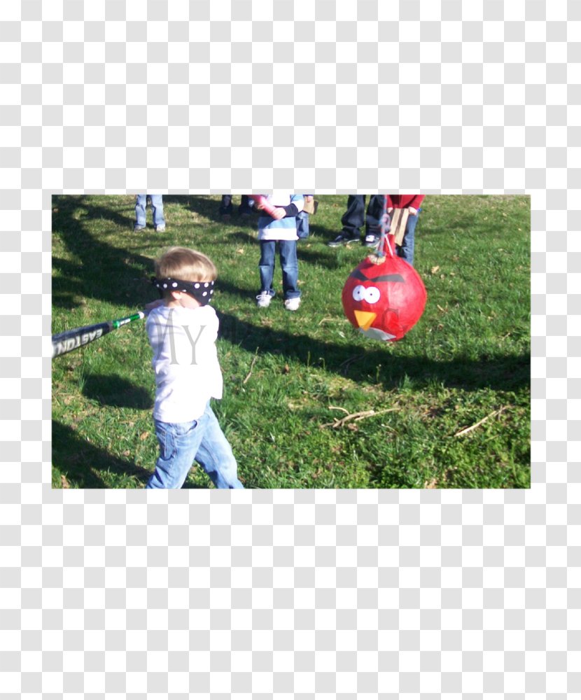 Lawn Toddler Recreation Ball - Grass Transparent PNG
