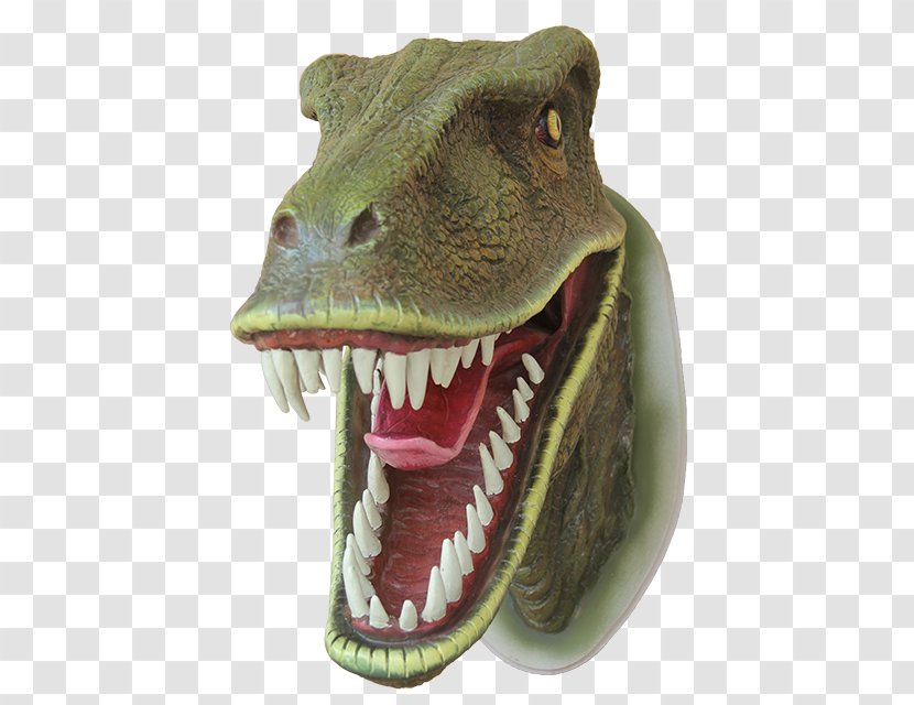 Lake Murray Tyrannosaurus Dinosaur Head - Image File Formats Transparent PNG