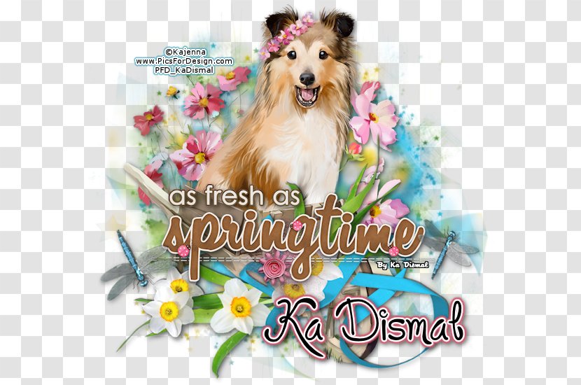 Dog Breed Puppy Love Companion Transparent PNG