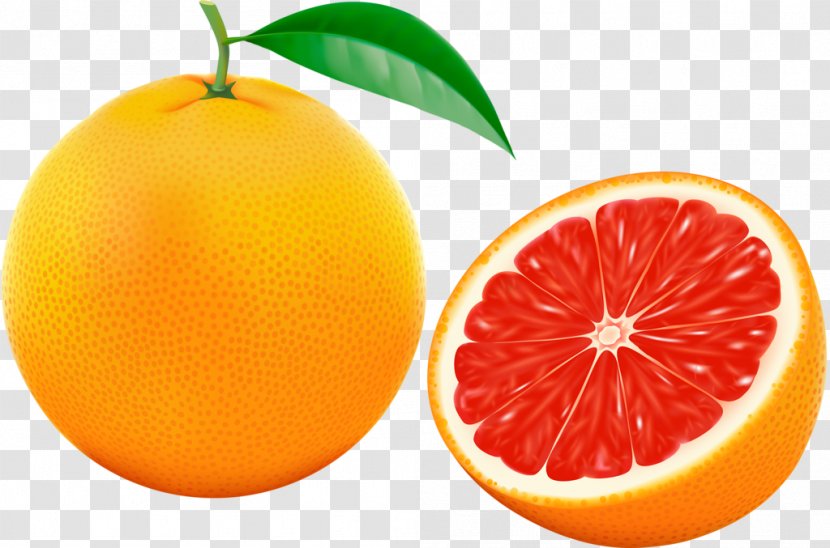 Grapefruit Orange Vector Graphics Illustration - Juice - Vajilla Graphic Transparent PNG