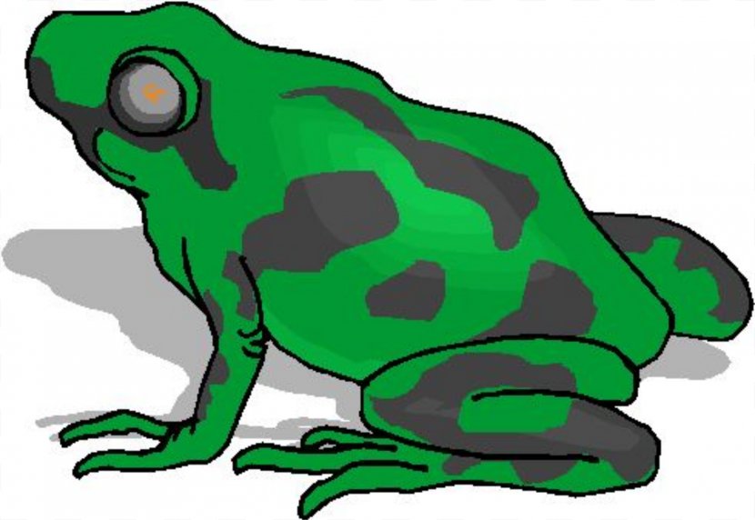 True Frog Amphibian Lithobates Clamitans Clip Art - Vertebrate Transparent PNG