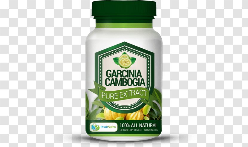 Garcinia Cambogia Dietary Supplement Extract Hydroxycitric Acid Kokum - Herbal Transparent PNG
