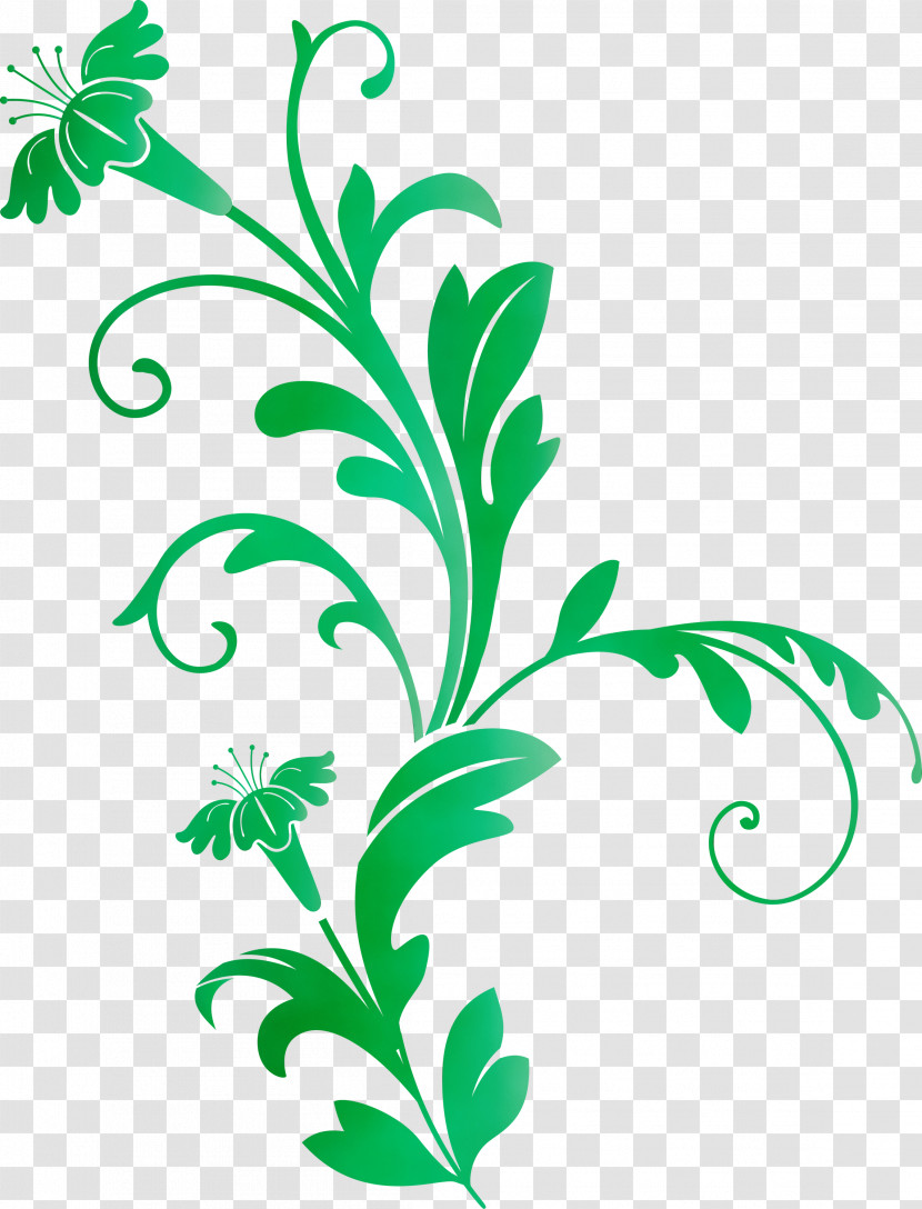 Parsley Transparent PNG