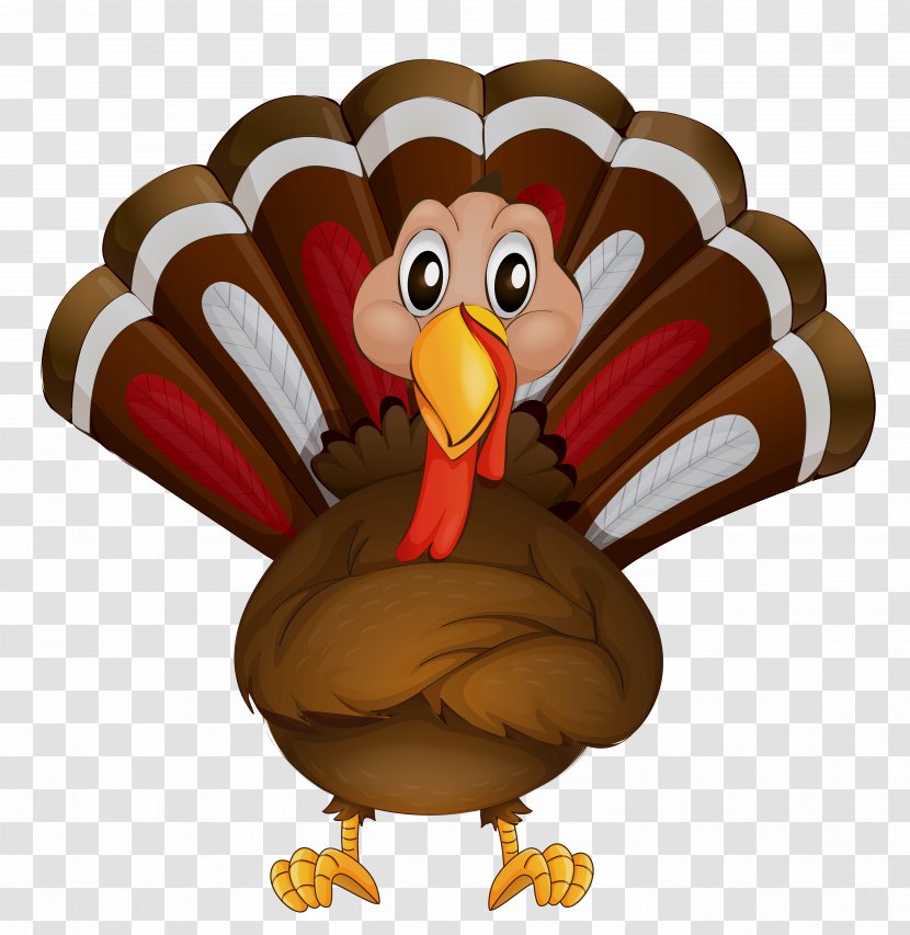 Wild Turkey Clip Art Thanksgiving Meat - Galliformes Transparent PNG