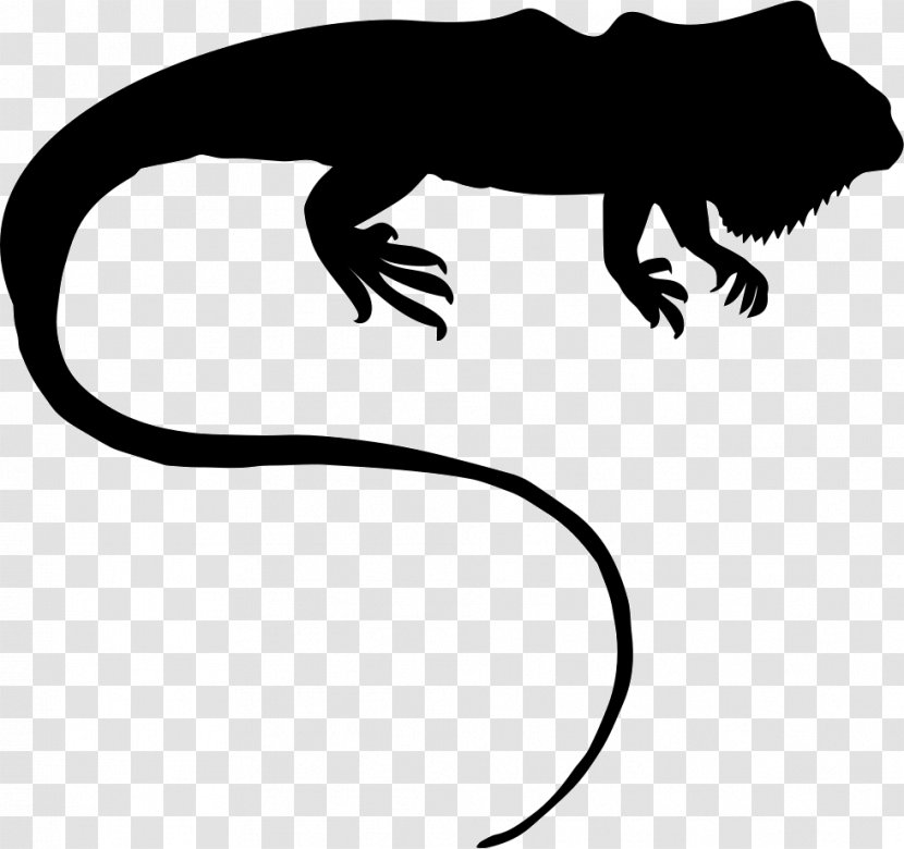 Common Iguanas Reptile - Fauna - Animal Figure Transparent PNG