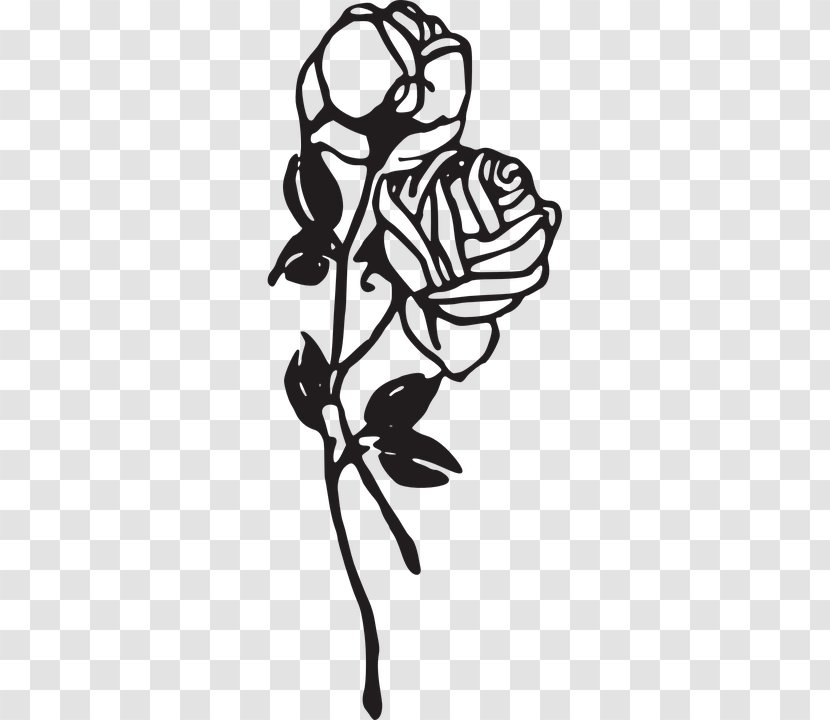 Clip Art Vector Graphics Drawing Image - Monochrome - Rose Transparent PNG