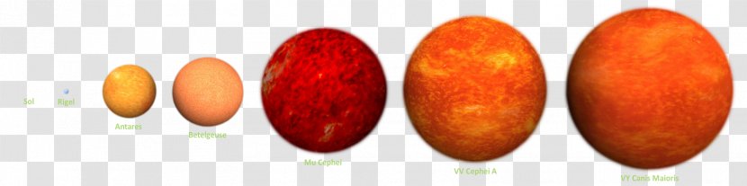 Star VY Canis Majoris VV Cephei Betelgeuse Sun - Vy - Yao Ming Transparent PNG