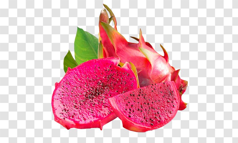 Juice Pitaya White-fleshed Pitahaya Hylocereus Megalanthus Mexican Cuisine Transparent PNG