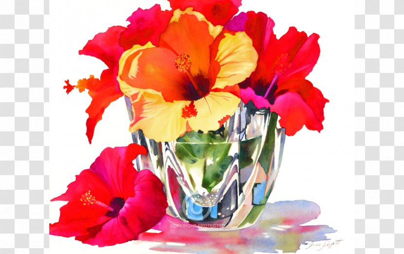 WaterColor, Florida Cut Flowers Mallows Floral Design - Seed Plant - Watercolor Transparent PNG