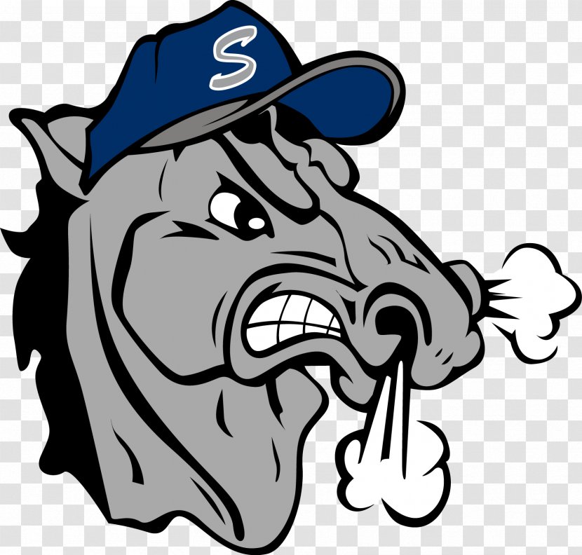 Stallions Baseball Club Horse Tampa Bay Rays - Mammal - Memorial Weekend Transparent PNG