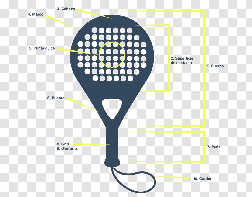 Padel Sport Racket Tennis Squash - Diagram Transparent PNG