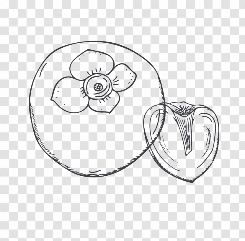 Persimmon - Cartoon - Sketch Transparent PNG