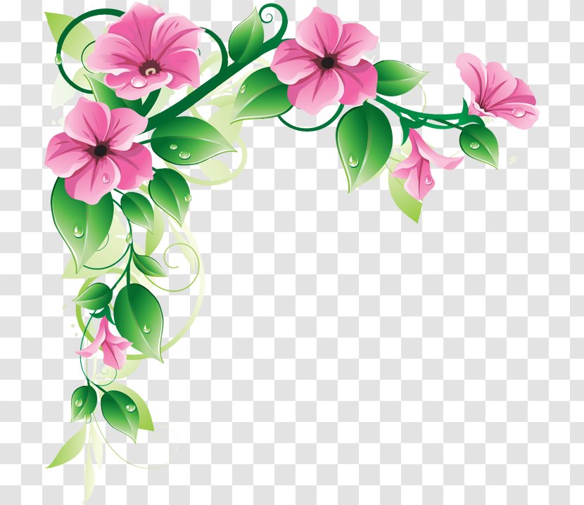 Flower Petal Pink Plant Clip Art - Flowering - Cut Flowers Morning Glory Transparent PNG