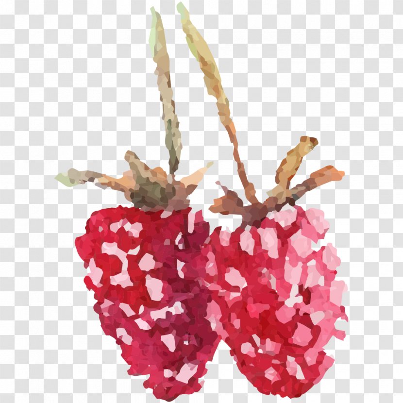 Red Raspberry Image Fruit - Tree - Strawberry Plant Transparent PNG