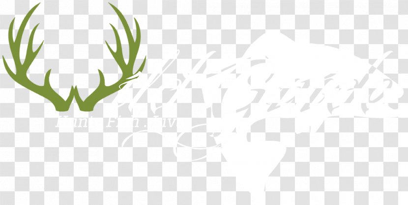 Antler Deer Grasses Logo Duvet - Plant Stem - Moon Phases Activity Transparent PNG