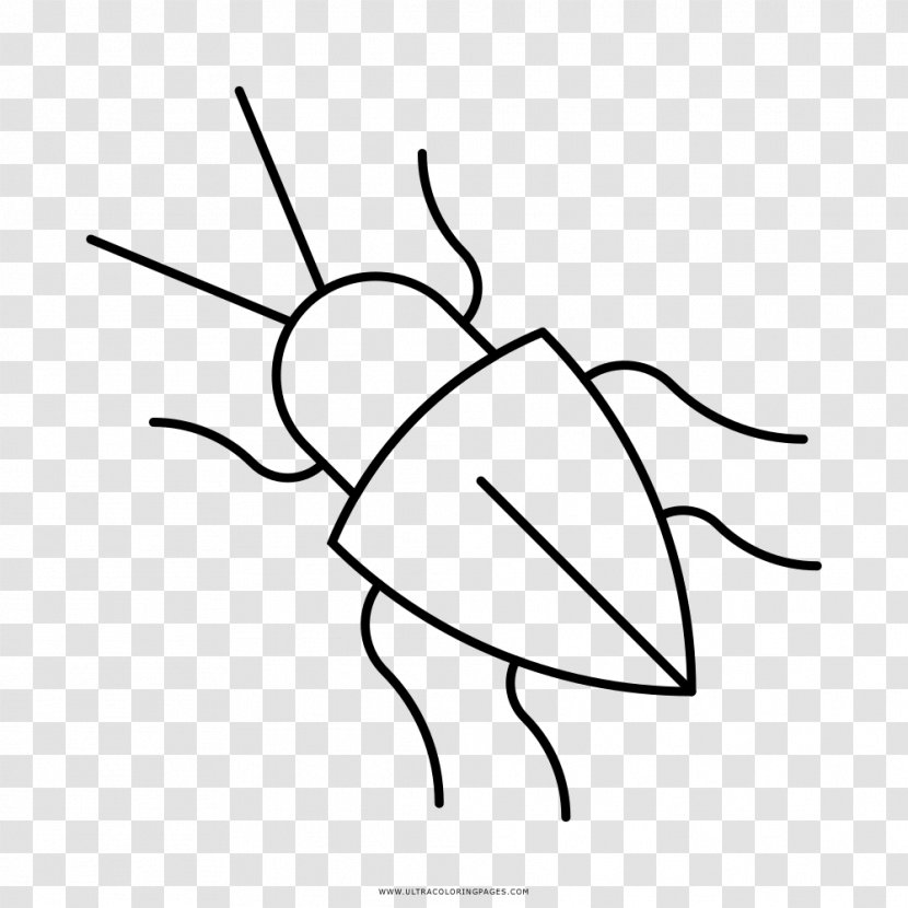 Drawing Black And White Beetle Clip Art - Frame Transparent PNG